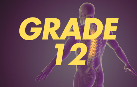 img-chef-bestseller-01